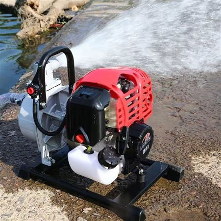 大流量大马力柴油手拉启动水泵自动抽水机 高扬程10米便携灌溉机