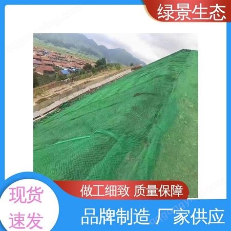 绿景 抗水土流失 三维网坡 支持定制 施工土工网垫材料