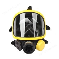 霍尼韦尔 1710397 PANO 呼吸器全面罩防雾防尘防毒异味工业用面罩