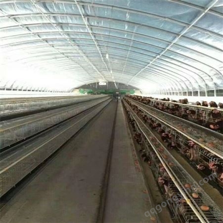 畜牧业养殖大棚骨架生产厂家 养猪场养鸡场温室大棚建设施工 跨度大