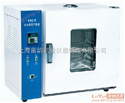 上海低价电热鼓风干燥箱 电热恒温鼓风干燥箱 101-00型干燥箱生产厂家
